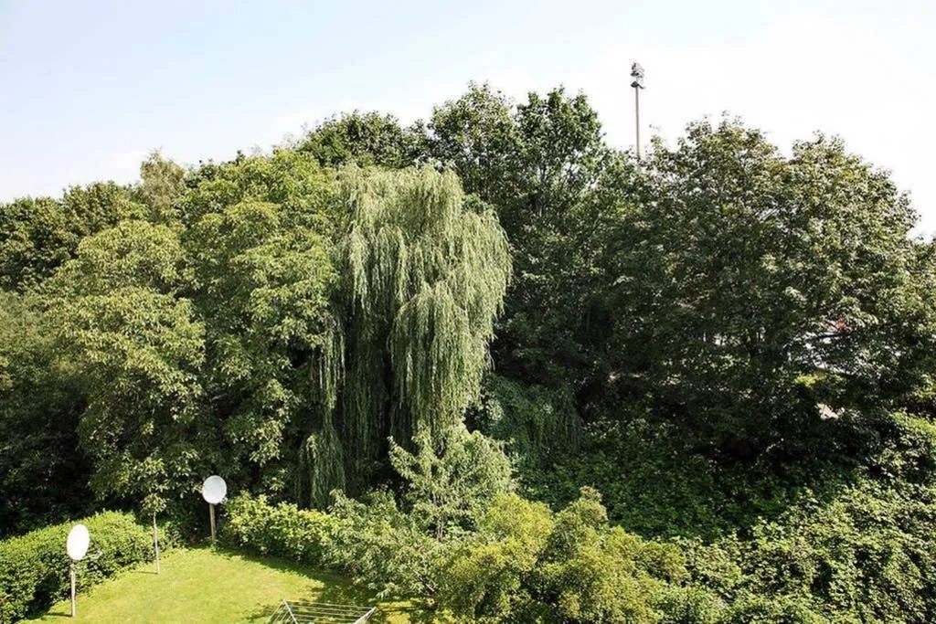 Image 5 of City Apartments Cologne – Apartment 2