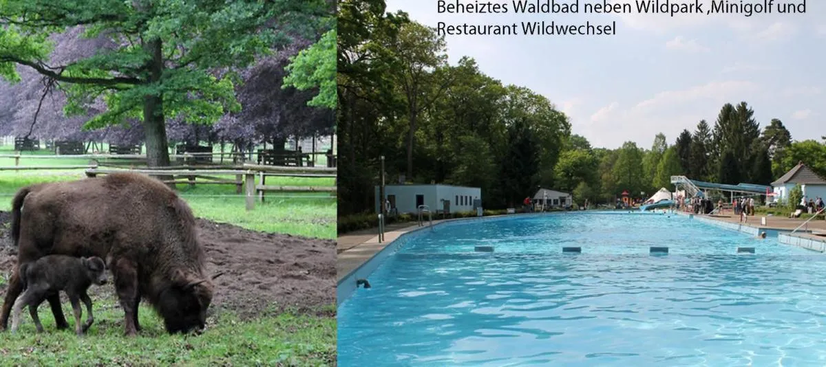 Image 3 of Cologne Apartment – City, Trade Fair, E-Werk