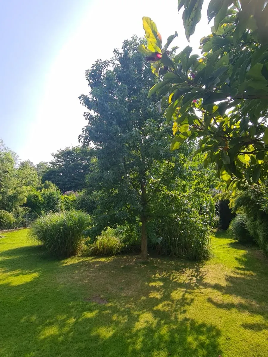 Image 5 of Gemütliche Wohnung Kölner Norden