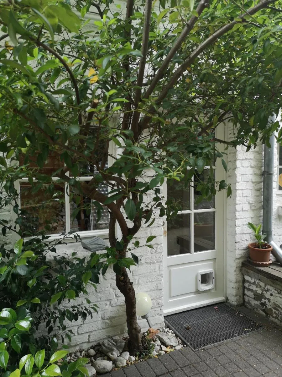 Image 5 of May-Apartment Köln zentrale Ferienwohnung