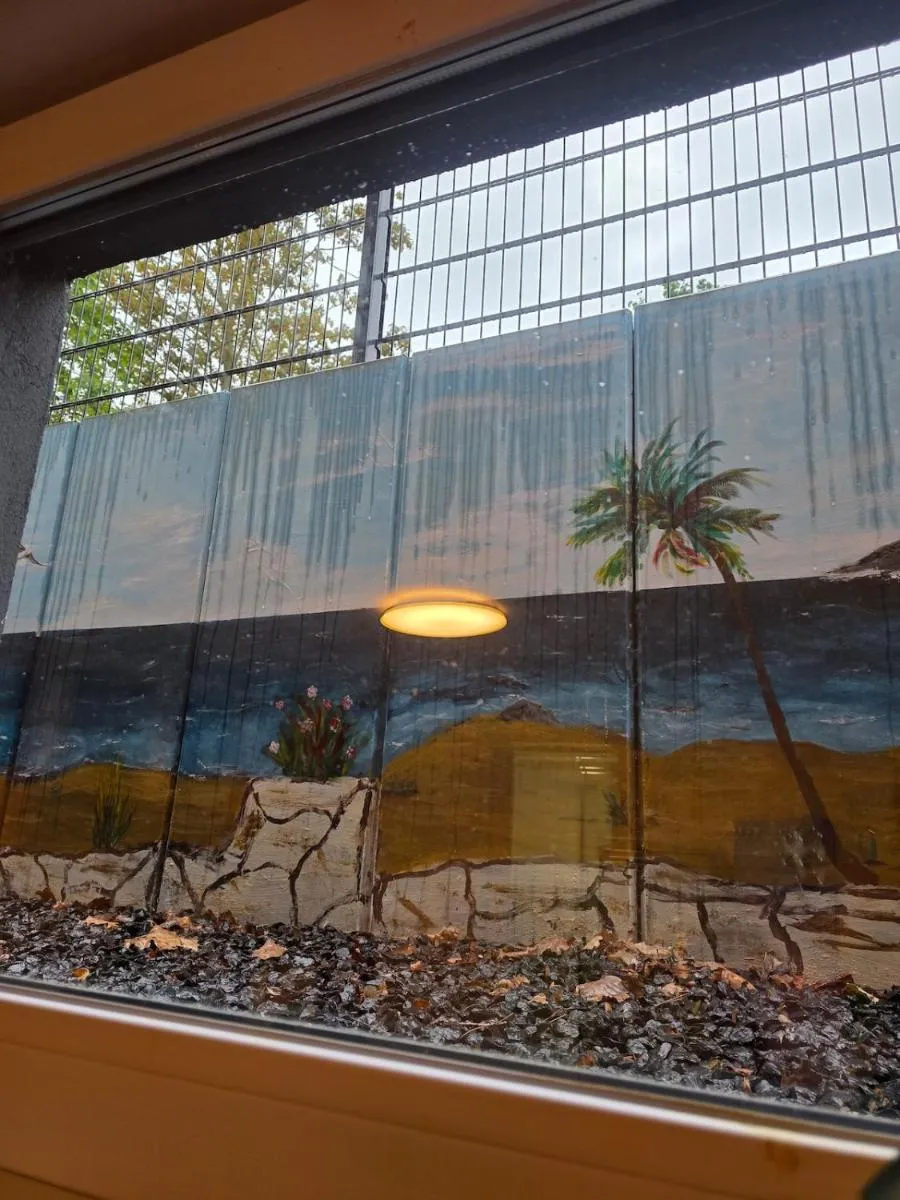 Image 5 of Moderne Wohnung im Norden von Köln