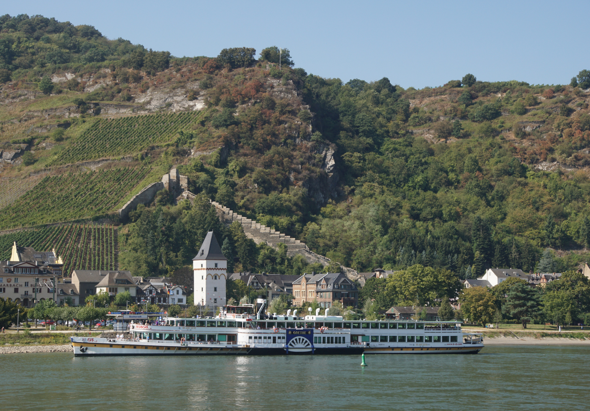 Rhine River Cruises